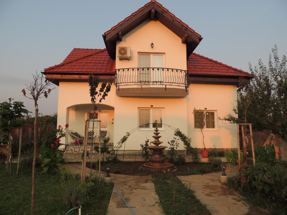Blue Sky House Hotel Balotesti Exterior photo